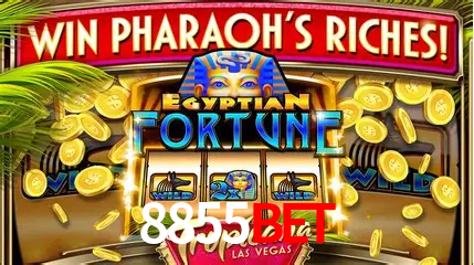 Cadastro rápido e seguro na 8855bet